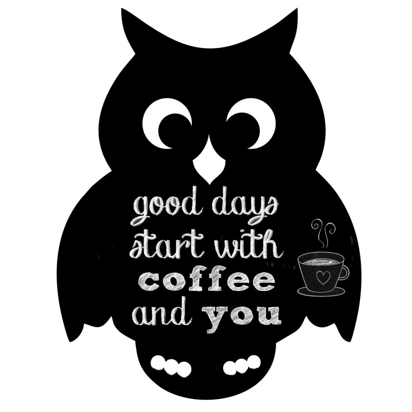 Krīta magneta delis Owl Krīta magneta delis Owl