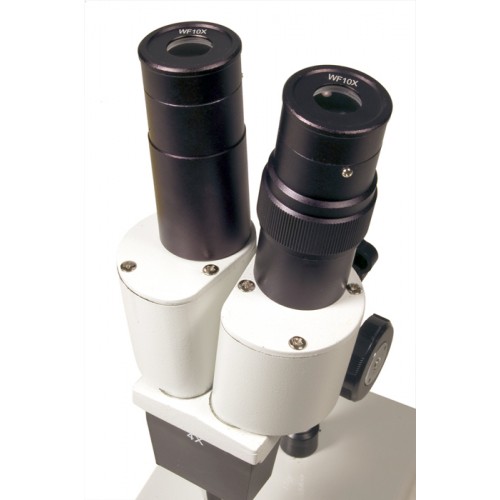 Binokul&amp;#x101;rais Mikroskops Levenhuk 2ST Met&amp;#x101;la korpuss 40x