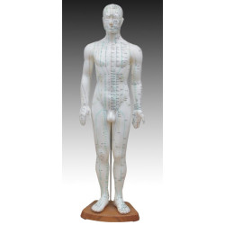 Akupunktūras cilvēka makets 60cm XC-518