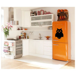 Krīta magneta delis Owl