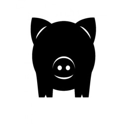 Krīta magneta delis Pig 2