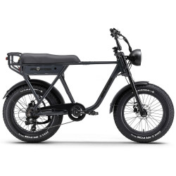 Elektriskais velosipēds Ape Ryder A10 Off-Road, 20", 250 W