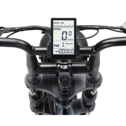 Elektriskais velosipēds Ape Ryder A10 Off-Road, 20", 250 W