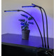 Gardlov 20 LED Lampa augu audzēšanai (19242) / Ir uz vietas!